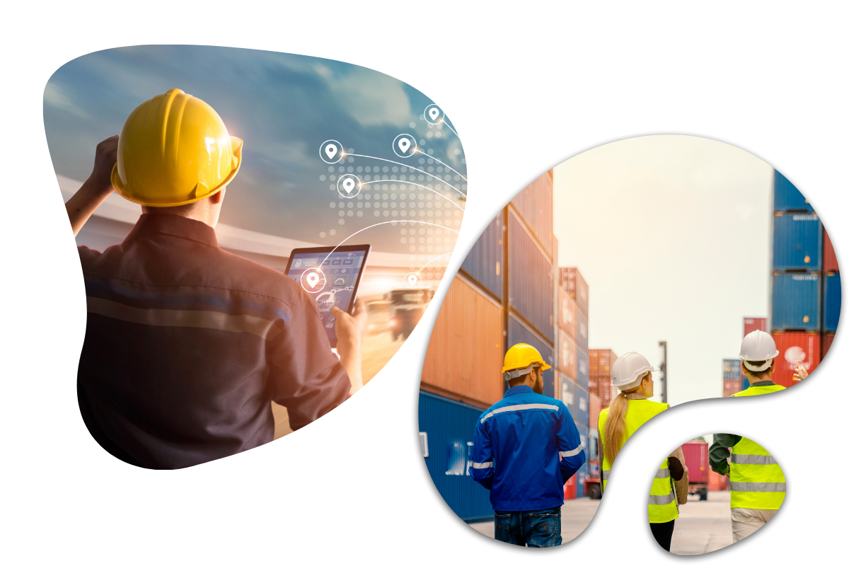 Transportation and Logistics